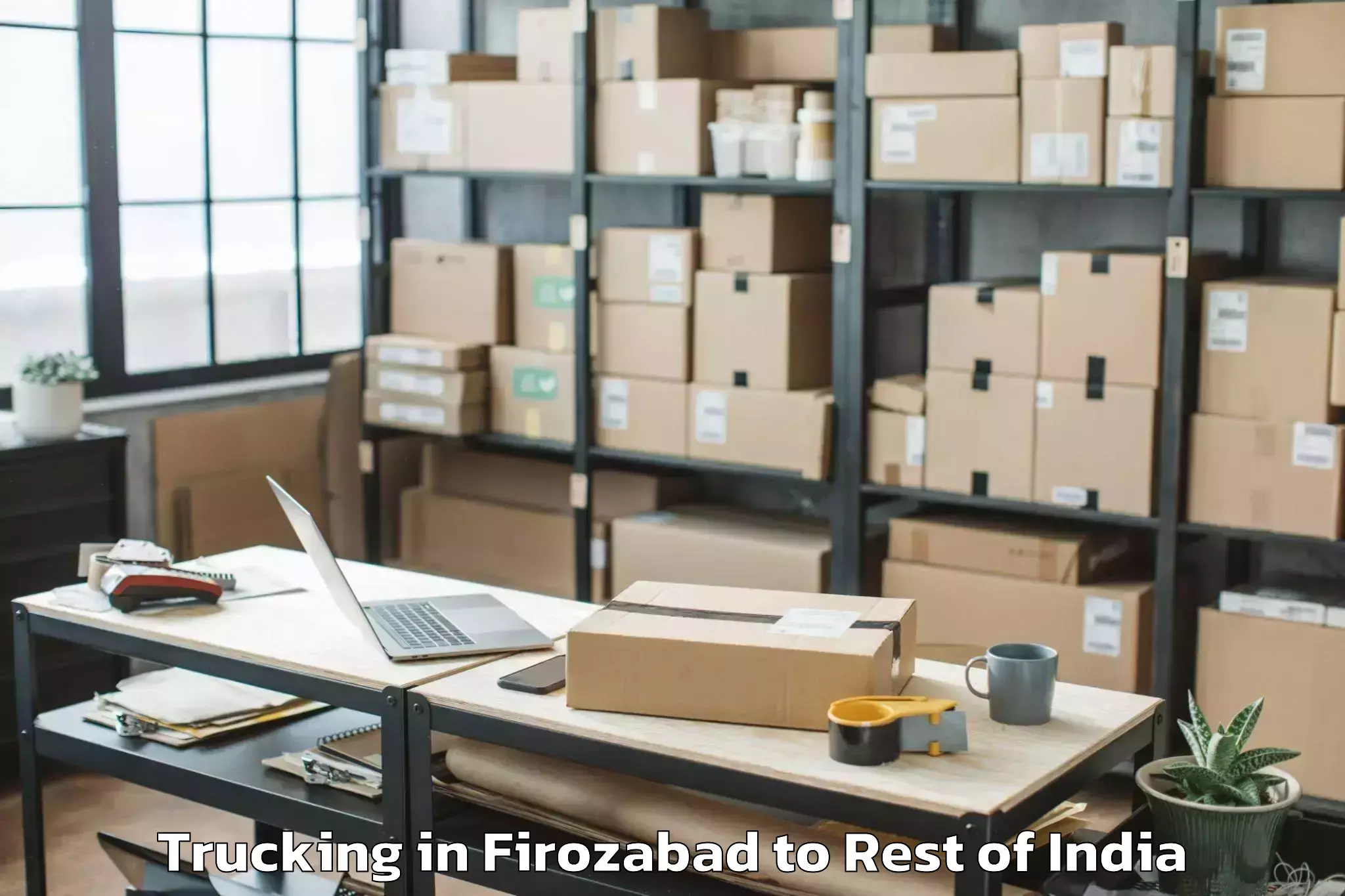 Professional Firozabad to Soibugh Trucking